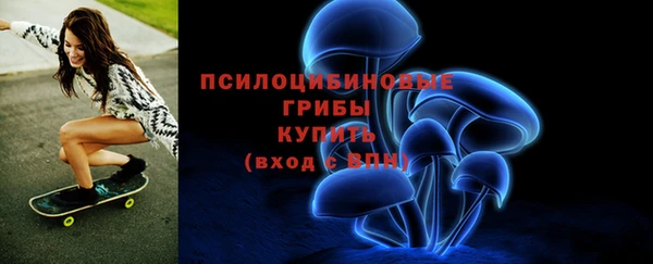 сатива Горнозаводск