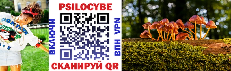 сколько стоит  Вологда  Галлюциногенные грибы Magic Shrooms 
