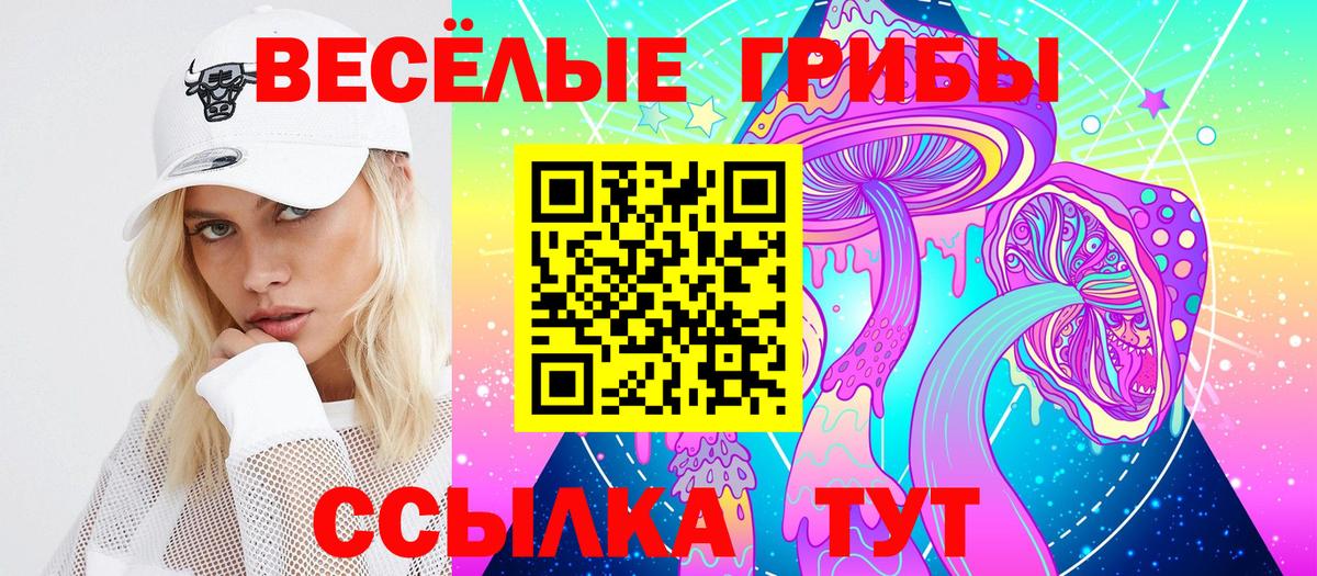 Галлюциногенные грибы Psilocybe  Вход с VPN  Псилоцибиновые грибы MAGIC MUSHROOMS  Вологда 