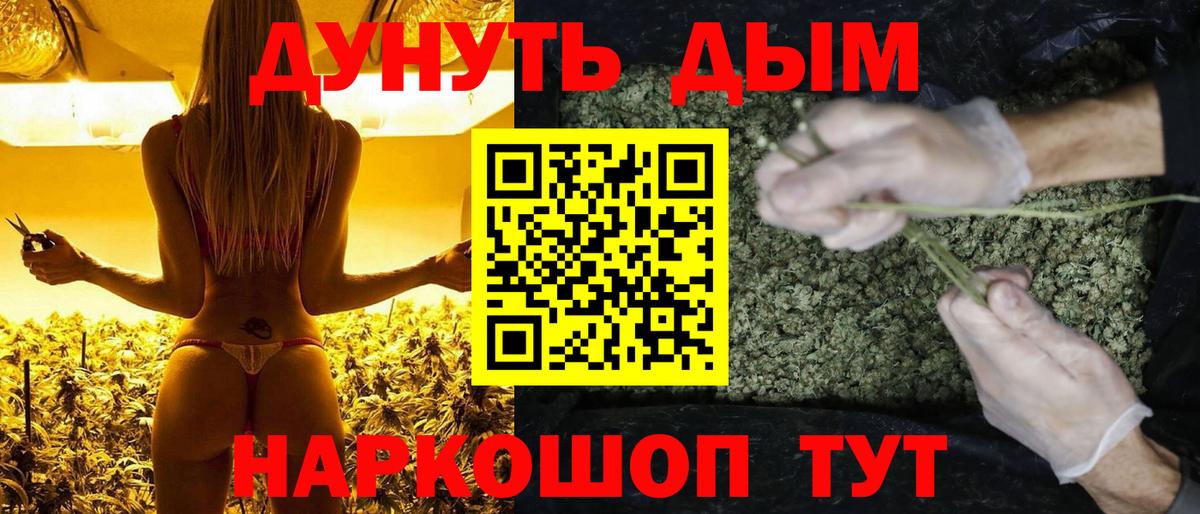 Канабис VHQ  Каннабис AK-47  Бошки Шишки конопля  Вход с VPN  Вологда  Бошки Шишки план 